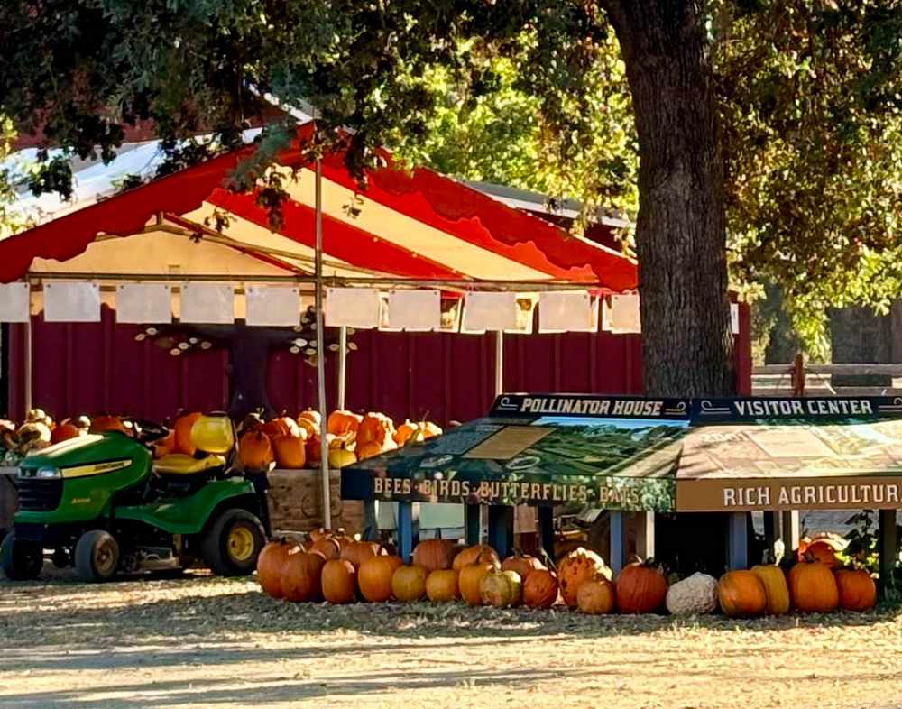 autumn at the ranch