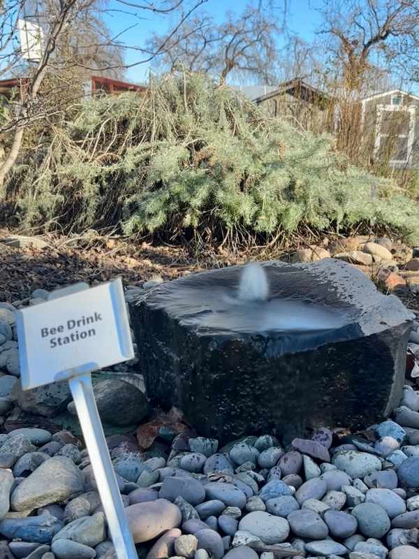 Bee drinking station