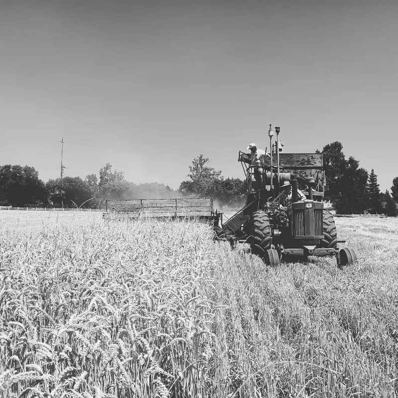 Farming at Patrick Ranch