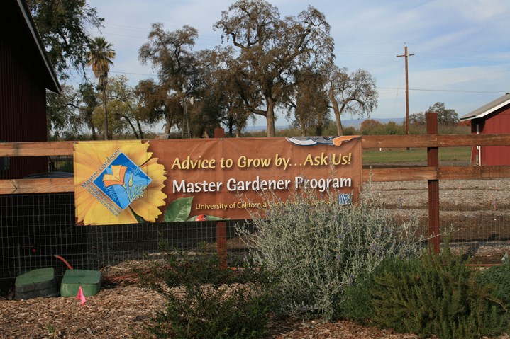 Master Gardener banner