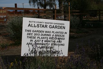 Master Gardener All-Star sign