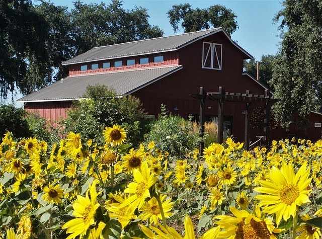 Visitor Center at Patrick Ranch Museum