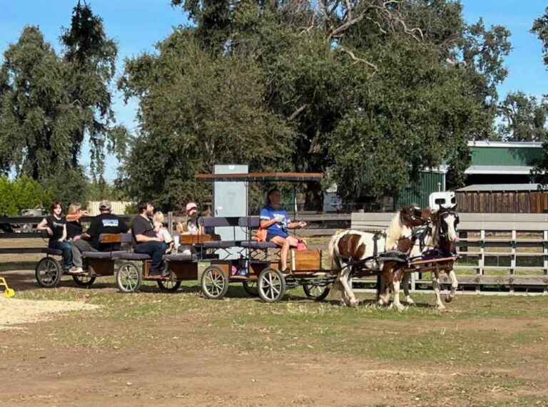 touring-patrick-ranch